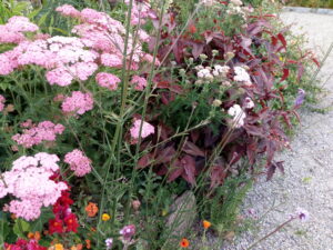 IMG 20190704 200904 1